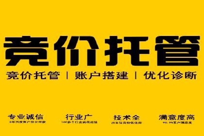 充值返点机制在社交平台的应用案例